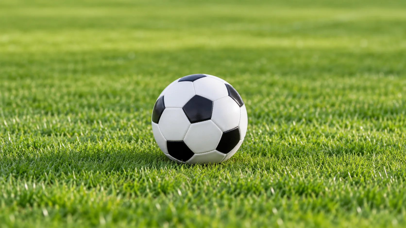 熊猫体育直播